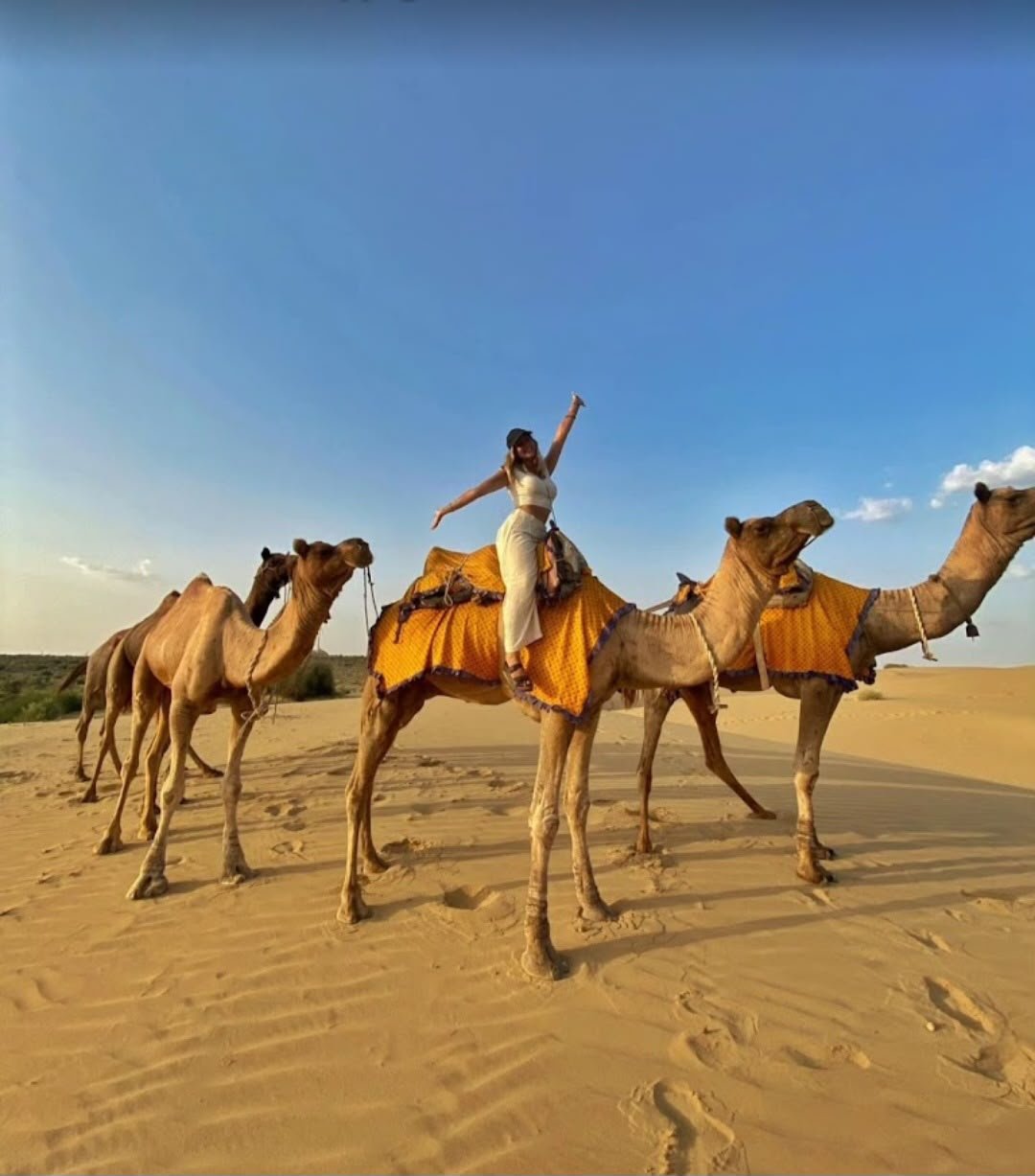 Camel Safari