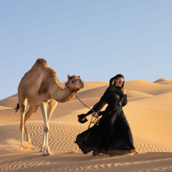 camel-safari